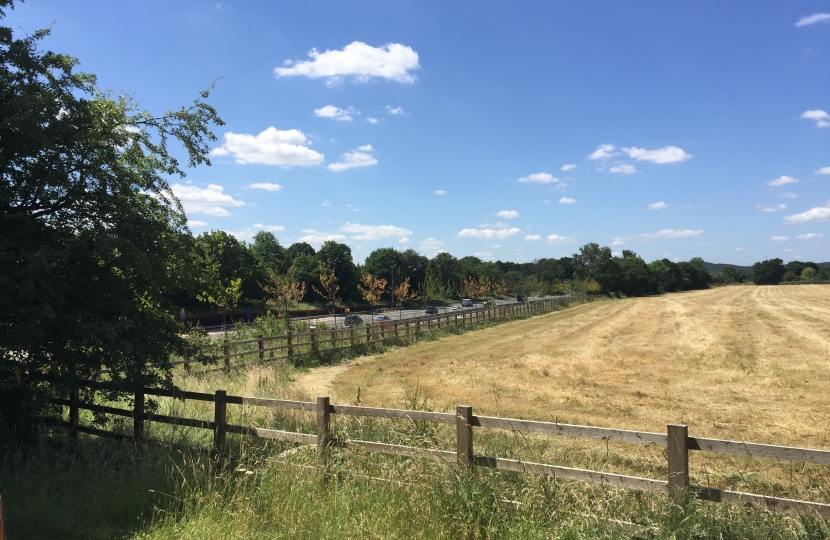 New planting on the North side of the M3 near Scutley Lane, Windlesham