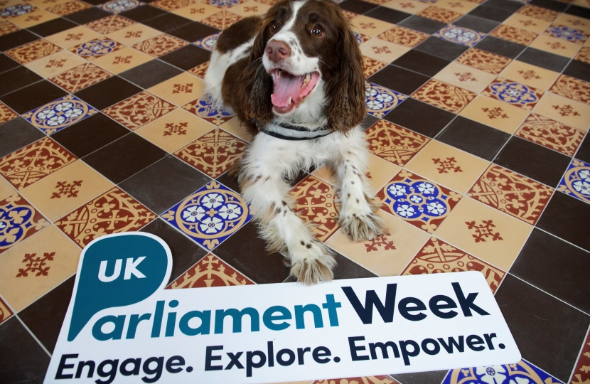 Parliament Week