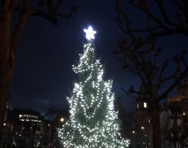 House of Commons Christmas Tree