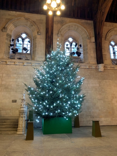 Westminster Hall tree